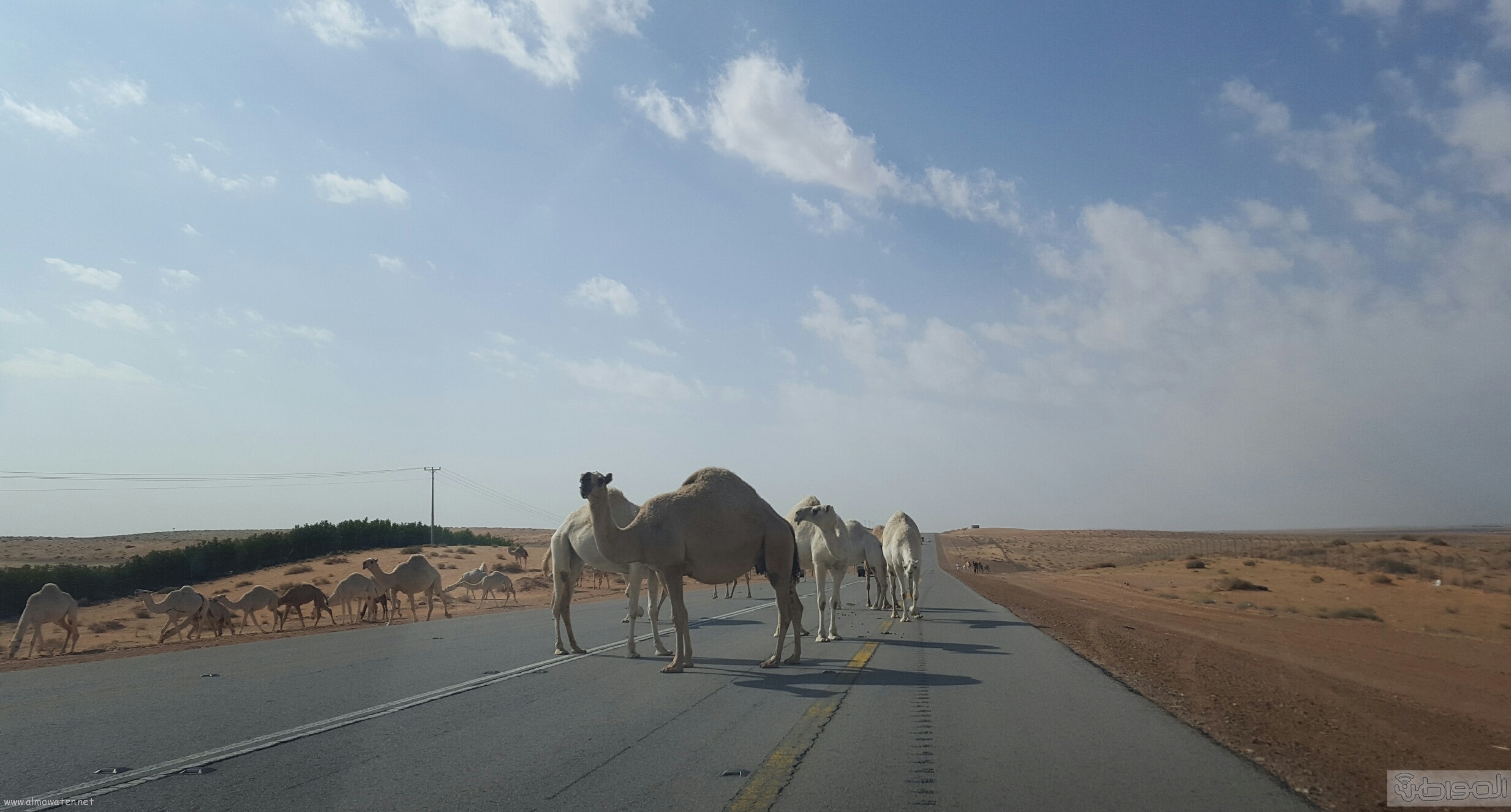 بالفيديو والصور.. خطر يواجه سالكي طريق “الرين – بيشة”