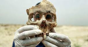 العثور على جمجمة عمرها 8 آلاف عام في قاع نهر بأمريكا - المواطن