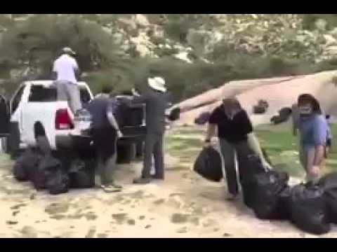 فيديو يظهر جمع متطوعين لـ25 كيساً من مخلفات مرتادي أحد المتنزهات