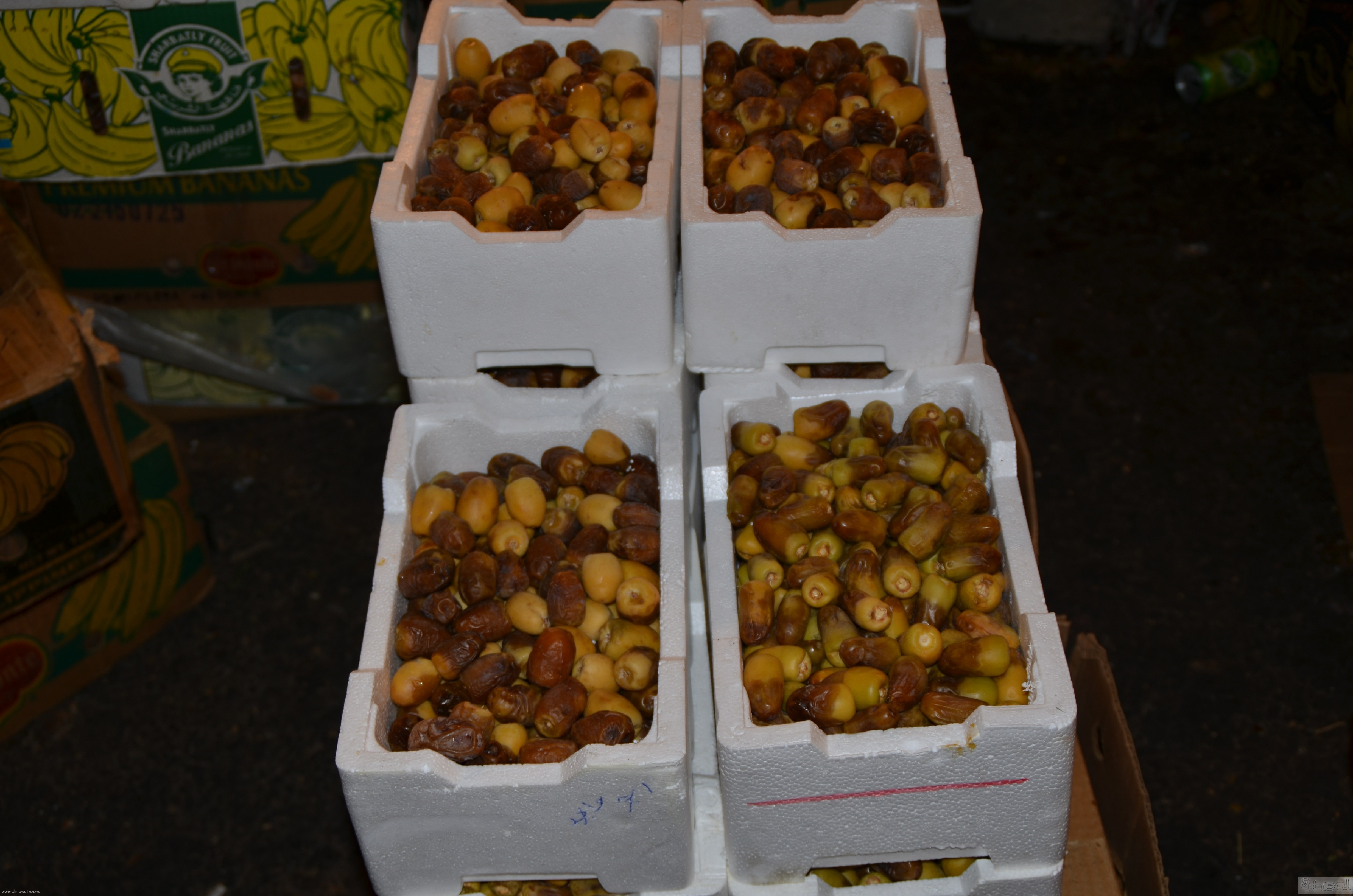 جولة باسواق الحلويات والتمور في جدة قبل العيد (14)