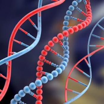 دراسة: جينات جارك الوراثية تؤثر على صحتك