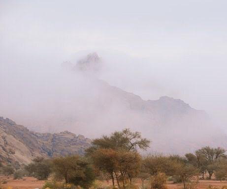 ضباب وأمطار يضعان بصمة الجمال على حائلا لآن