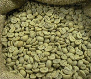 حبوب القهوة الخضراء وسيلة فعّالة للحِمْية والتَخْسيس