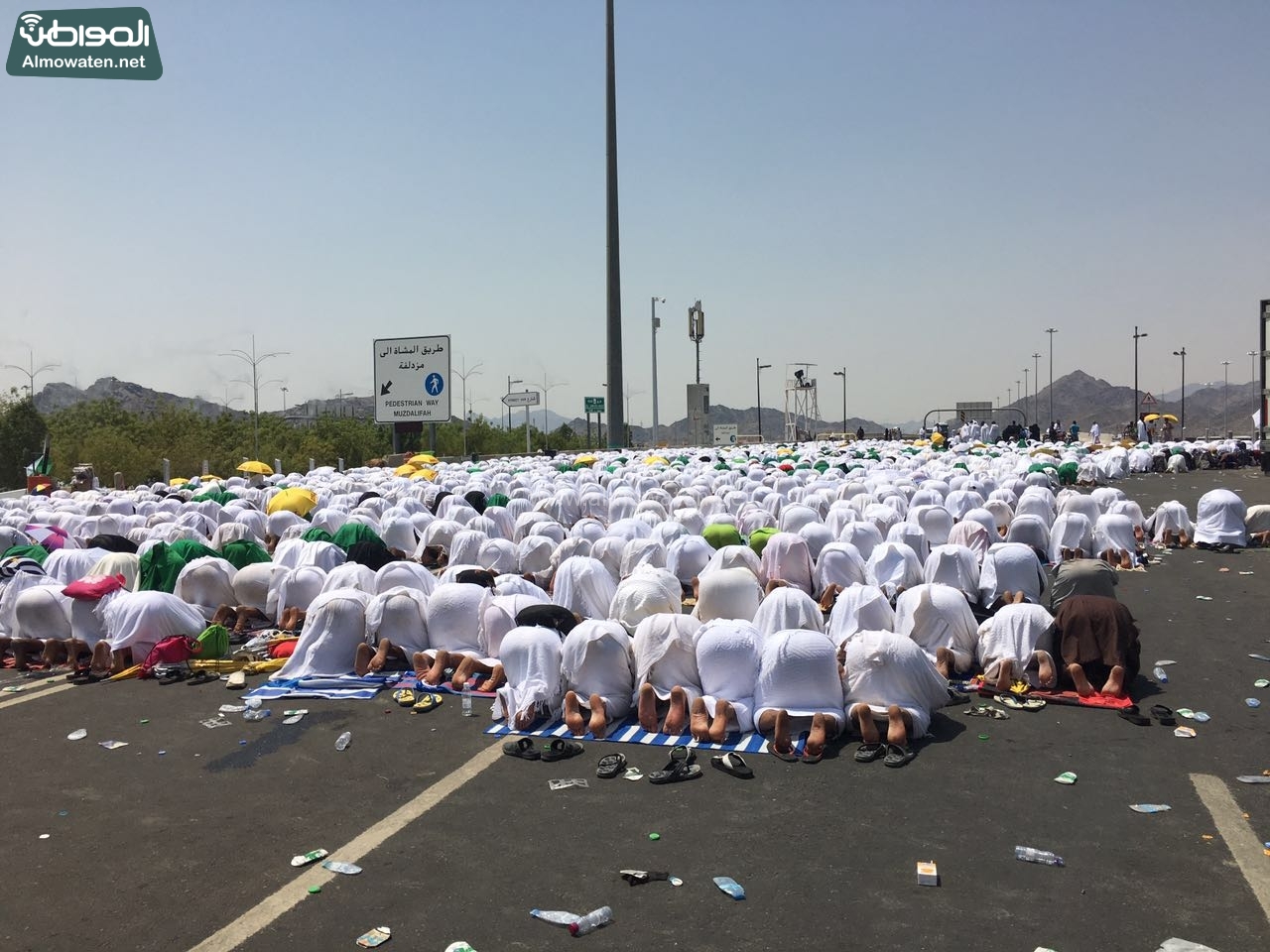 بالصور.. سجودٌ وخشوعٌ على صعيد عرفات