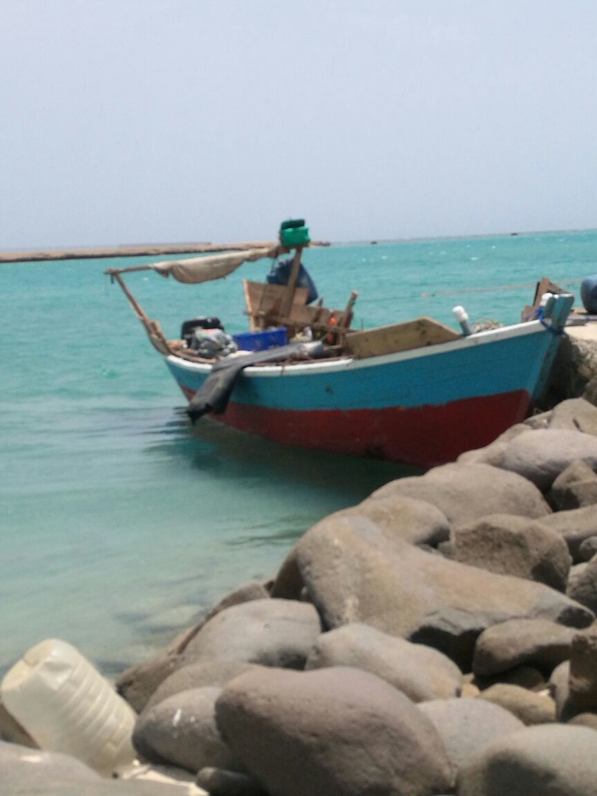 حدود مكة يُحبط تسلل 31 شخصًا قدموا من الشواطئ السودانية