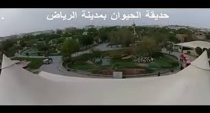 بالفيديو.. تصوير جوي لحديقة الحيوان بمدينة الرياض