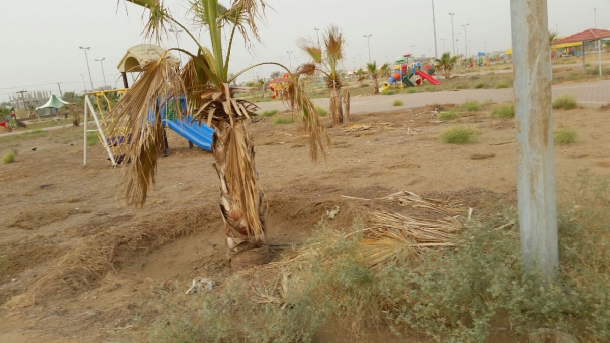 بالصور.. حديقة “محلية جازان” مهجورة بعد غياب الصيانة