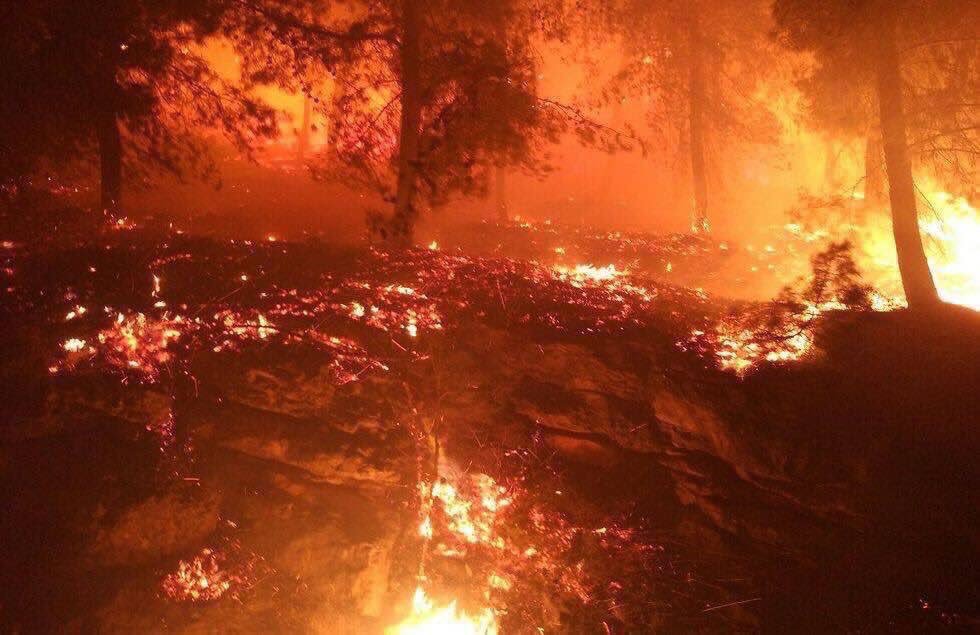 بسبب حرائق الغابات.. 57 قتيلًا وأكثر من 50 جريحًا في البرتغال
