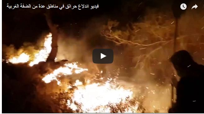 بالفيديو.. السيطرة على حرائق الضفة الغربية