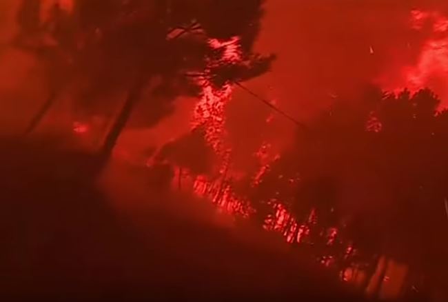 فيديو صادم.. هذا ما فعلته حرائق الغابات المتواصلة في البرتغال منذ يونيو الماضي