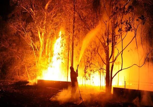 السديري: لم نُسجل إصابات للسعوديين بأمريكا جراء حرائق كاليفورنيا