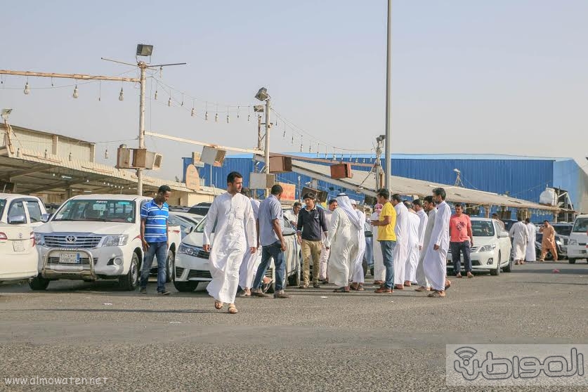 فوضى عارمة يفتعلها الشريطية جنوب جدة.. ومبيعات السيارات راكدة !