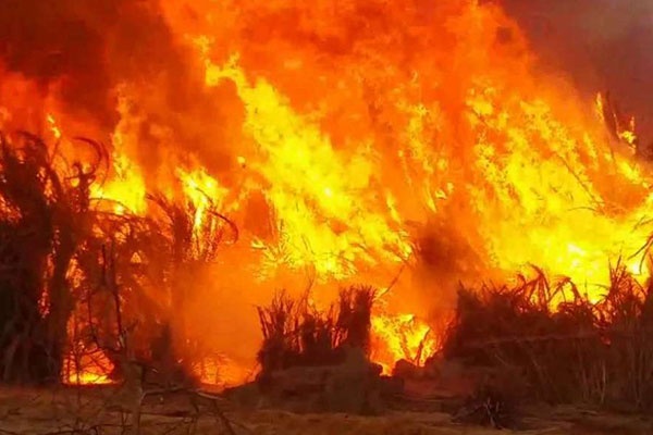 التخلّص من نفايات يشعل النيران في 5 آلاف متر مربع بأبها