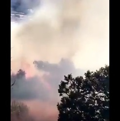 بالفيديو.. حريق يلتهم أشجار جبل حضوة في بللسمر