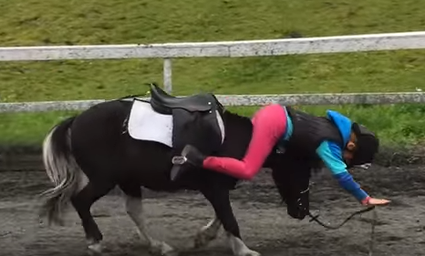 شاهد.. حصان يساعد فتاة سقطت من على ظهره بطريقة كوميدية