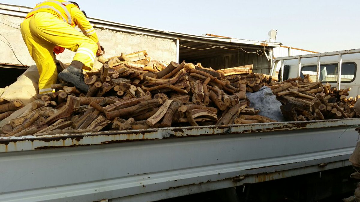 بالصور.. إحباط توزيع 70 طنًا من الحطب المخالف بـ #الرياض