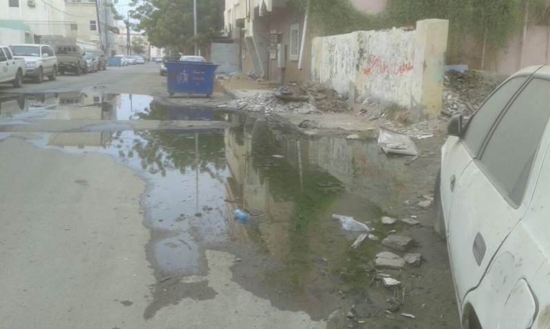حفريات روضة جازان9