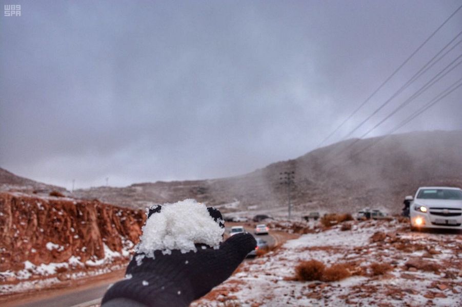 بالصور.. زائر تبوك الأبيض يُظهر جمال جبل اللوز ويرحل فجرًا