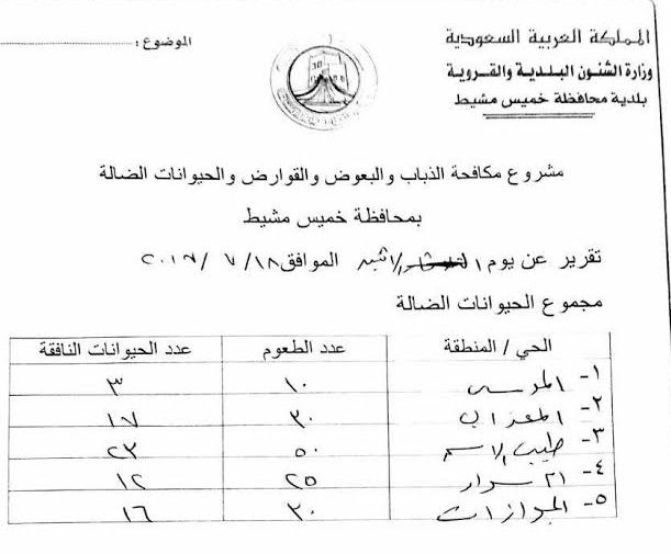 حملة للقضاء على الحيوانات الضالة بخميس مشيط