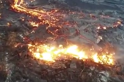 الحمم البركانية تحرق غابات هاواي