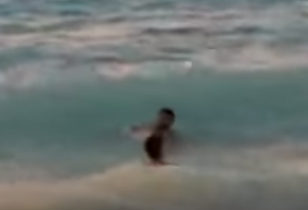 شاهد.. حوت يسبح بجوار شابين بالقرب من شاطئ مصري !