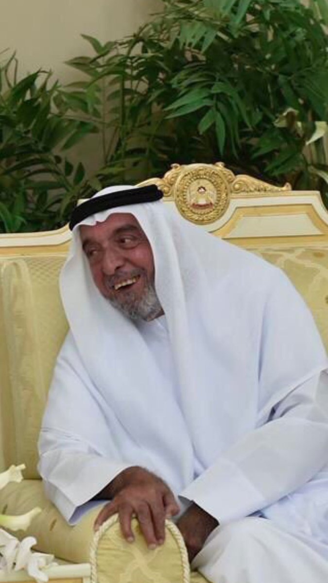 بالفيديو والصور.. فرحة الإماراتيين بعد #رئيس_الدولة_يستقبل_الحكام