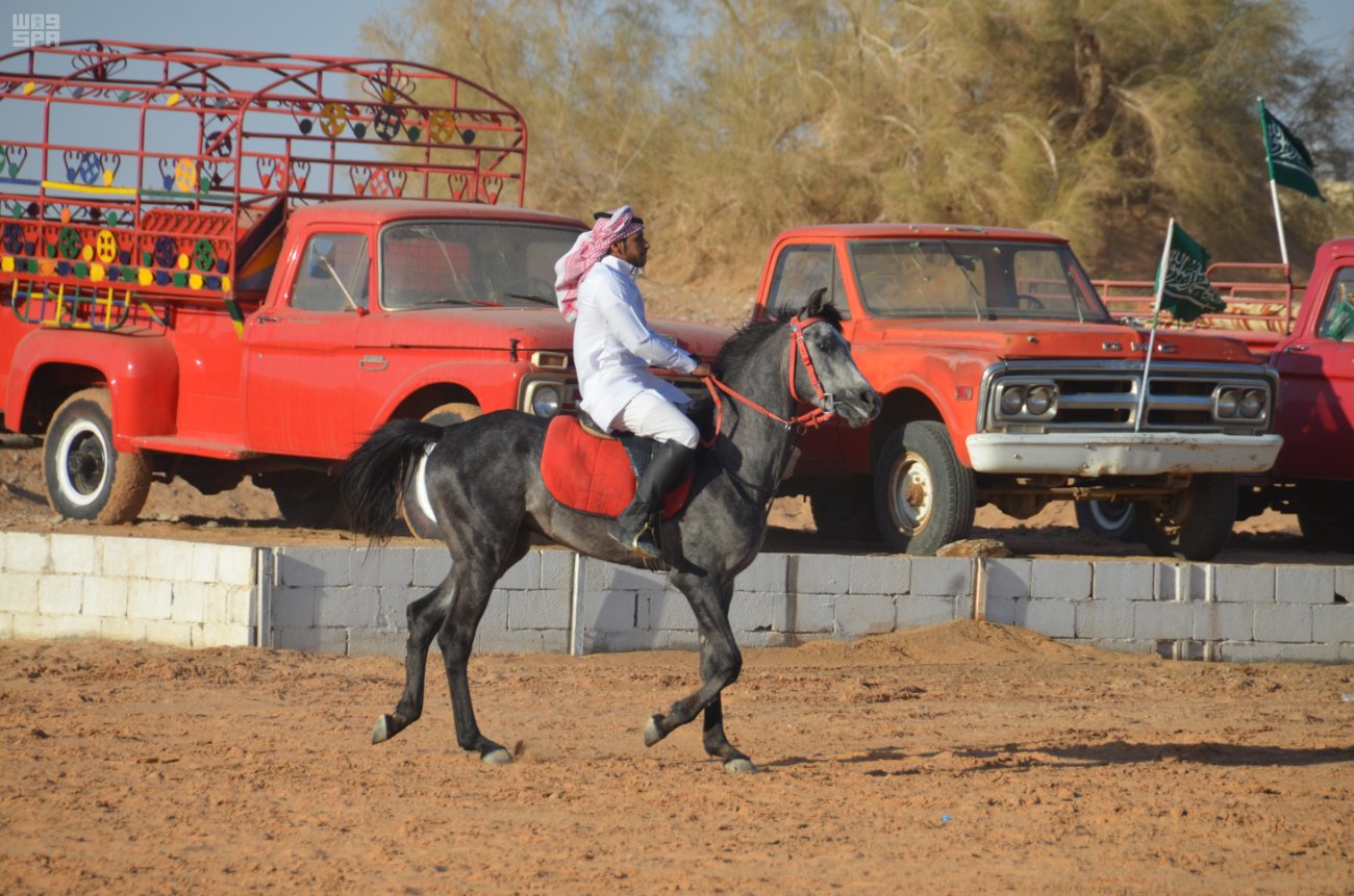 بالصور.. “خيل وهيل” يُضفي البهجة على ربيع #تبوك