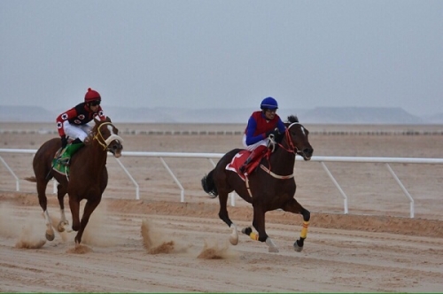 تفاصيل مضاربة بميدان سباق الخيل بمحافظة القريات