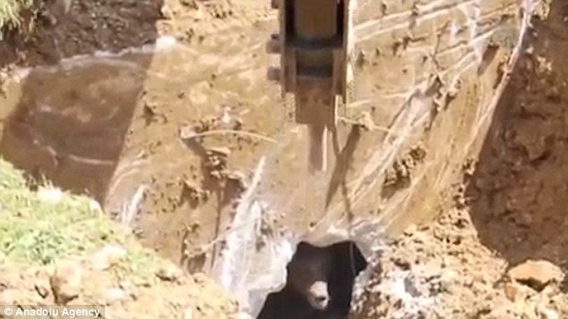 بالفيديو.. مفاجأة مرعبة لعمال وهم يحفرون الأرض