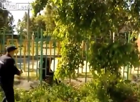 بالفيديو.. قتل دب روسي يستنفد ٦ طلقات