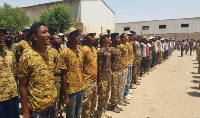 بدء دمج المقاومة الشعبية بالجيش الوطني اليمني