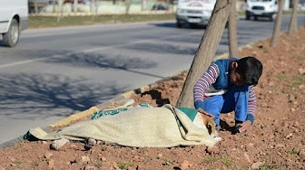 شاهد.. طفل سوري يرفض مغادرة كلب تعرض للدهس