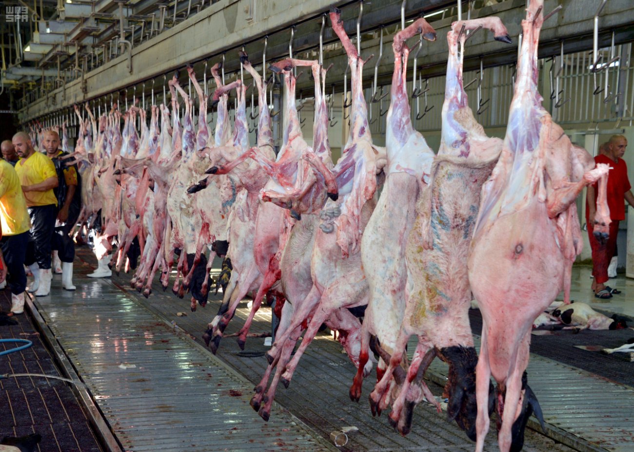 أمانة نجران تتلف 390 كيلو من اللحوم الفاسدة