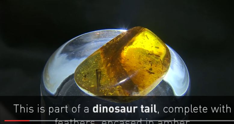 شاهد.. لحظة العثور على جزء من ذيل ديناصور في قطعة عنبر