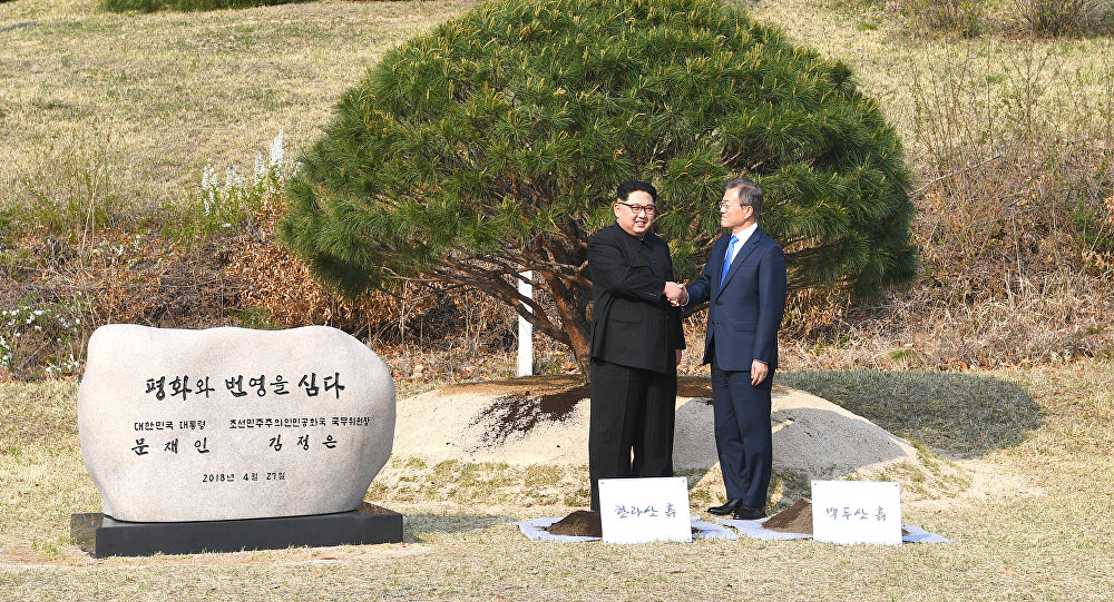 شجرة صنوبر عمرها 65 عامًا تنهي سباق التسلح النووي بين الكوريتين
