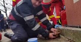 شاهد.. لحظة إنقاذ رجل إطفاء كلبًا من الموت