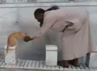 شاهد.. رجل يسقي قطة بيديه في المسجد الحرام