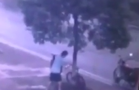 شاهد.. رجل يقطع شجرة لسرقة دراجة مربوطة بها