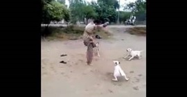 شاهد.. رد فعل باكستانيّ هاجمته مجموعة كلاب في الشارع