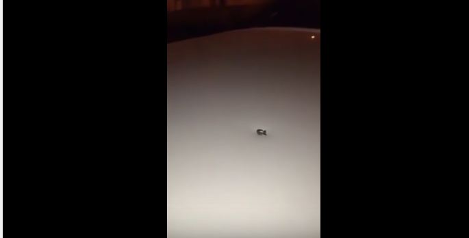 بالفيديو .. رصاصة تخترق سقف سيارة وتصيب السائق في #الخرج