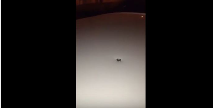 بالفيديو .. رصاصة تخترق سقف سيارة وتصيب السائق في #الخرج
