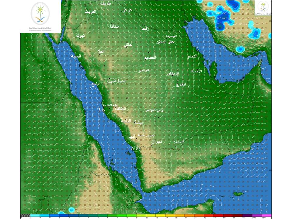 #الأرصاد : غبار يحد مستوى الرؤية الليلة وغدًا في هذه المناطق