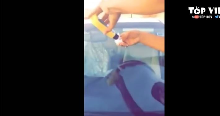 بالفيديو.. مادة سحرية مضادة لمياه الأمطار على زجاج السيارة