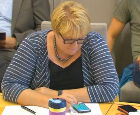 انتقادات لزعيمة نرويجية طاردت الـ «بوكيمون» خلال جلسة للبرلمان