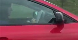 شاهد.. سائق يعرض حياته للخطر بسبب هاتفه