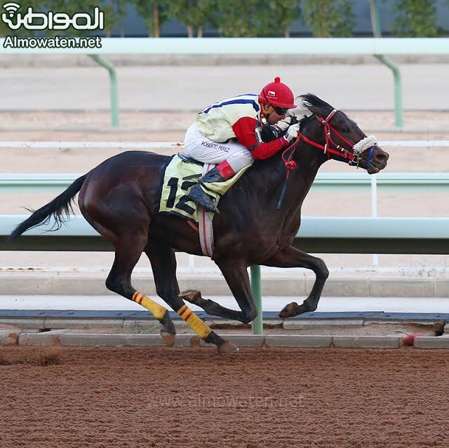 سباق الفروسية يوم الجمعة ‫(1)‬ ‫‬