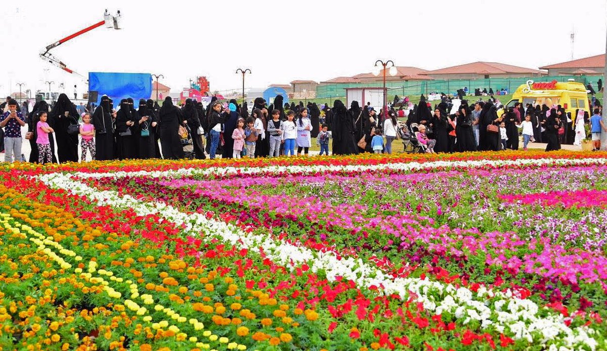 مهرجان ألوان الربيع بعنيزة يستقطب الزوار بسجادة ورود عملاقة