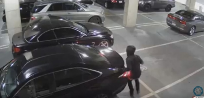 شاهد.. سرقة سيارة امرأة تحت تهديد السلاح