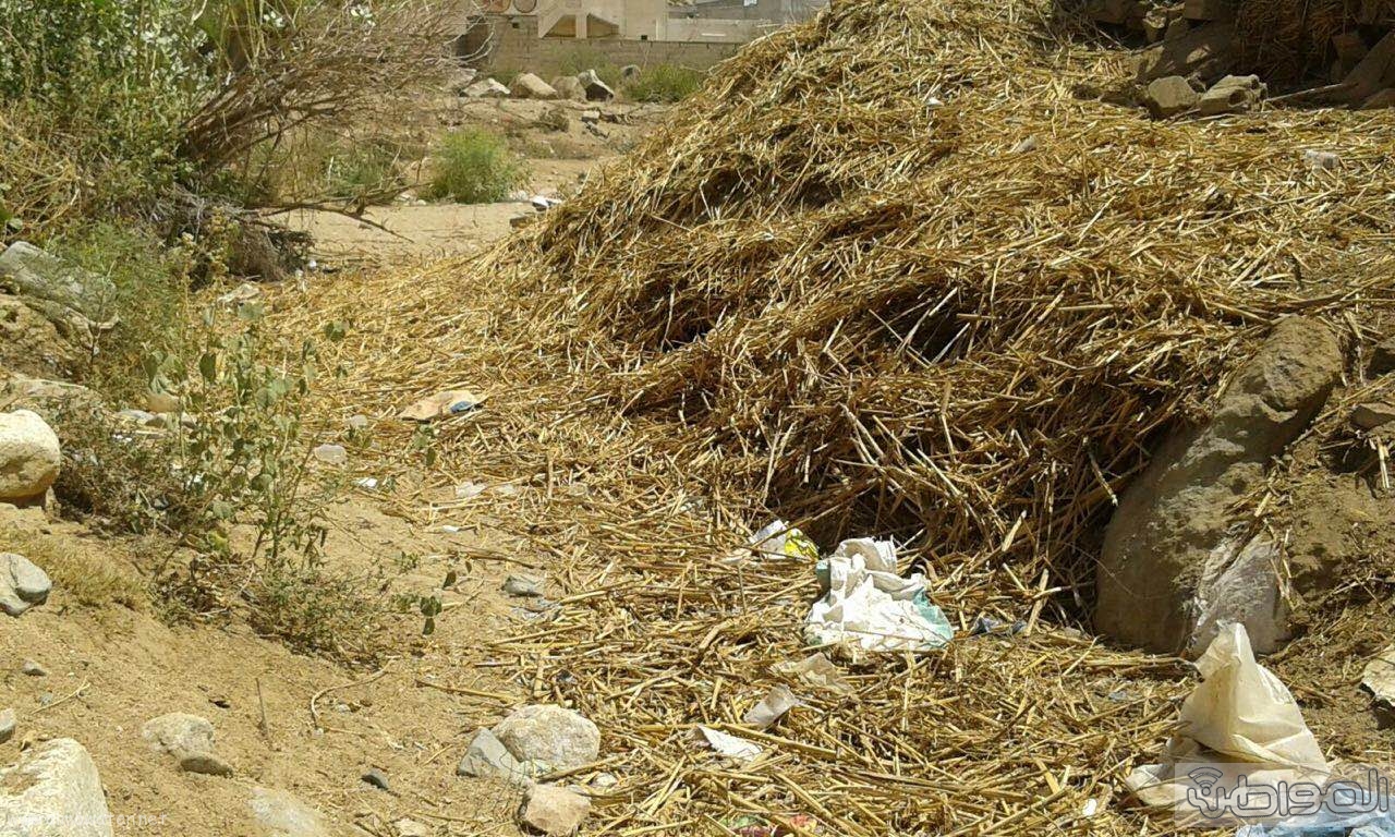 قرية آل طارق بالعرضيات تشكو العزلة وتراكم النفايات