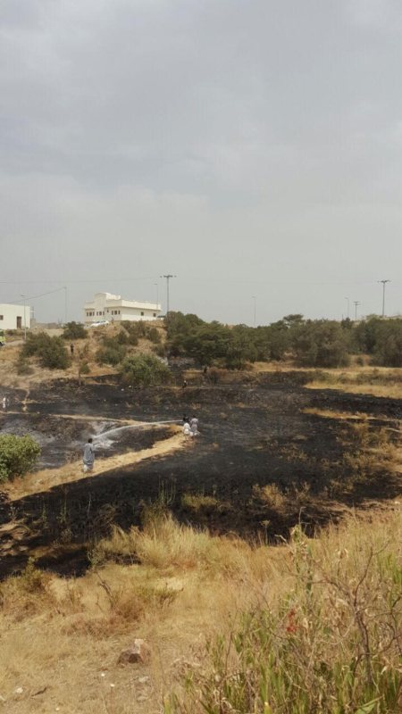 سلك ضَغْط عالي يتسبب في حريق أراضي زراعية بجماجم الباحة ‫(284259501)‬ ‫‬